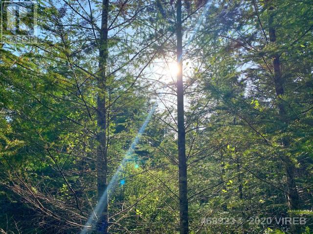 21852636-LargePhoto-8