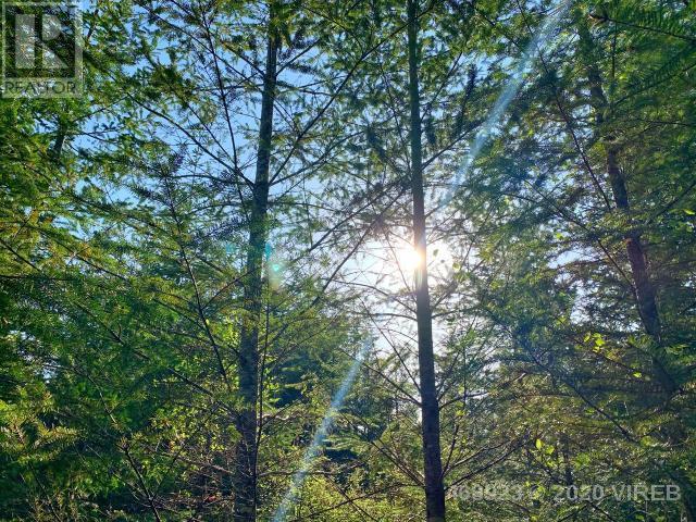 21852636-LargePhoto-9