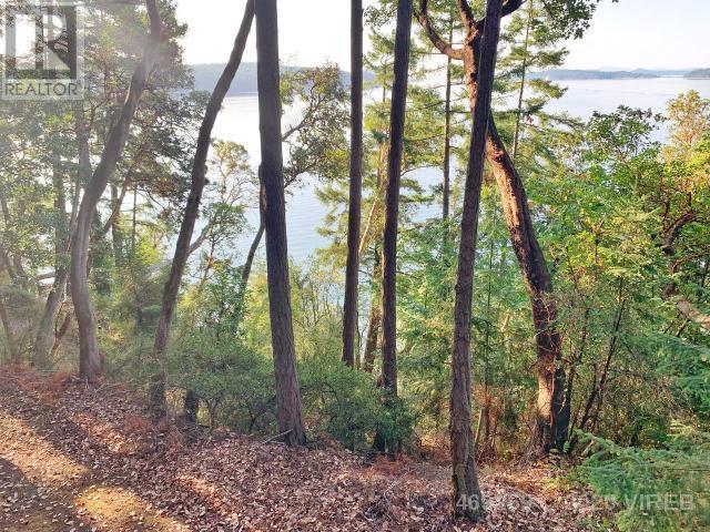 21885184-LargePhoto-20