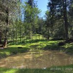 21908555-LargePhoto-1