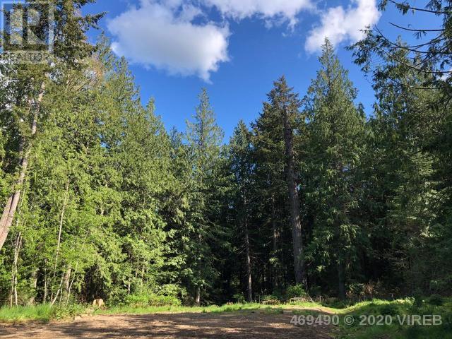 21908555-LargePhoto-2