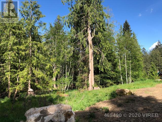 21908555-LargePhoto-3