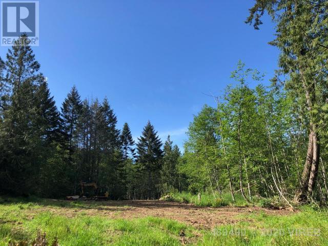 21908555-LargePhoto-5