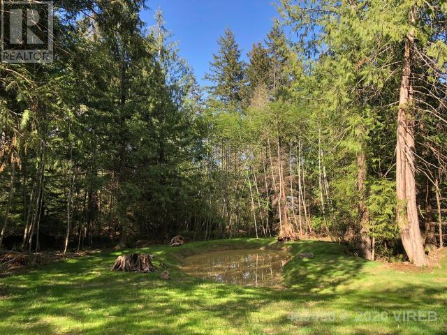 21908555-LargePhoto-6