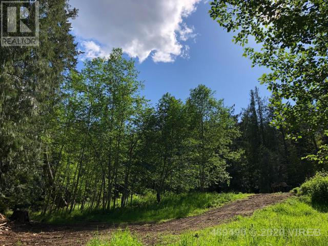 21908555-LargePhoto-8