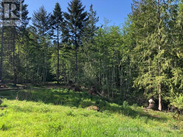 21908555-LargePhoto-9