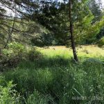 21939465-LargePhoto-1