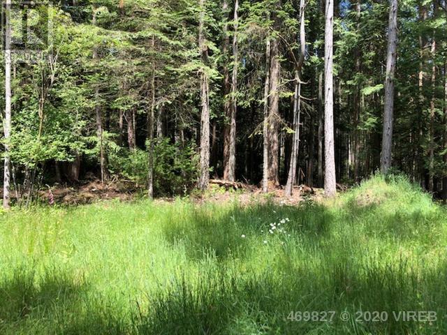 21939465-LargePhoto-2