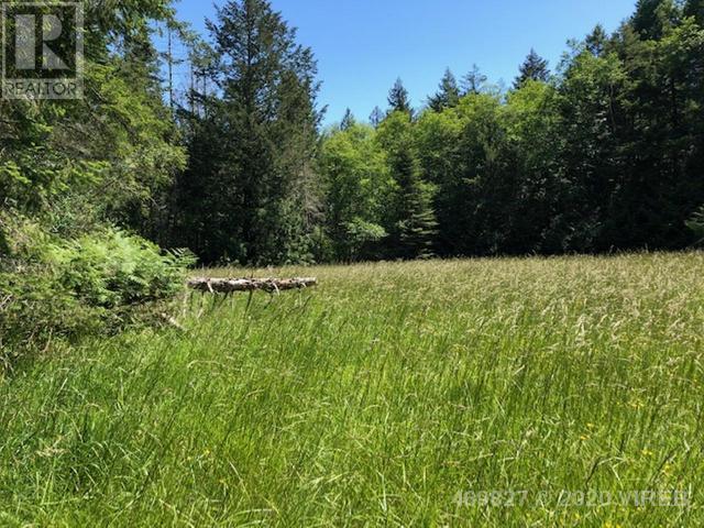 21939465-LargePhoto-3