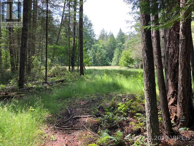 21939465-LargePhoto-4