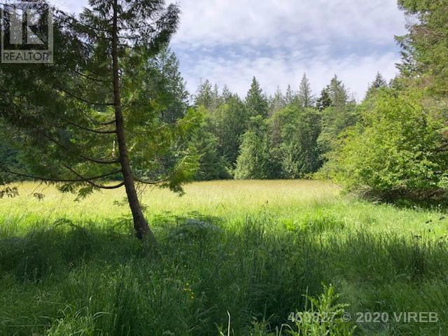 21939465-LargePhoto-5