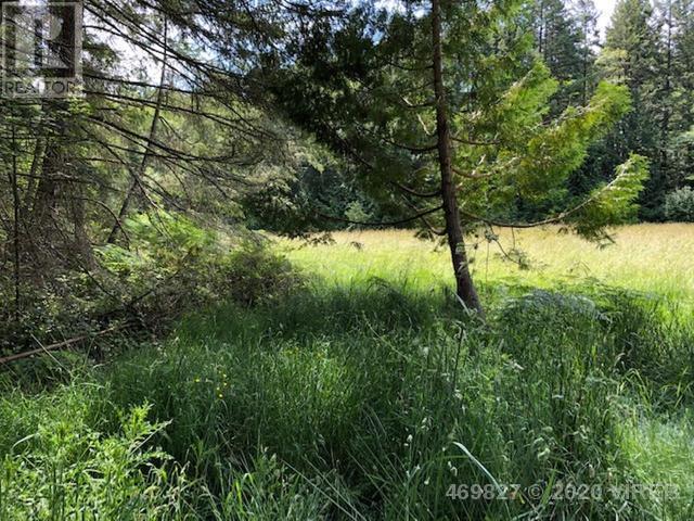 21939465-LargePhoto-6