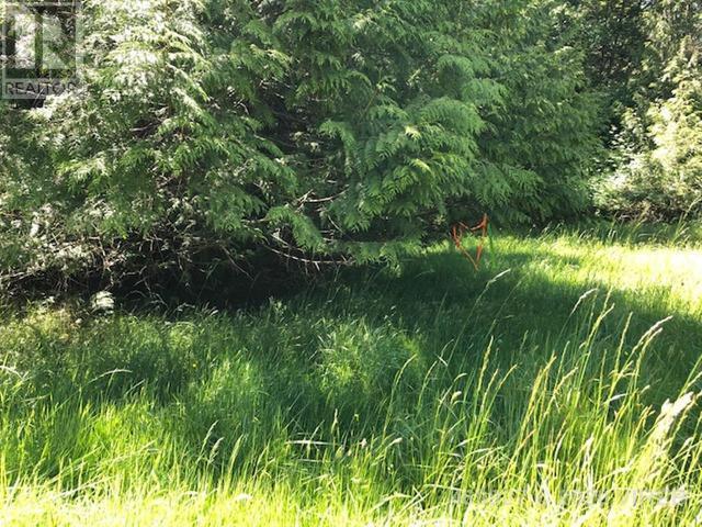 21939465-LargePhoto-8