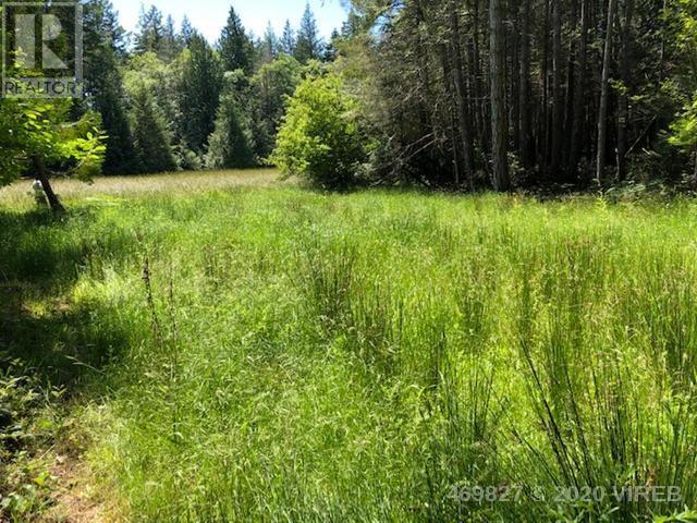 21939465-LargePhoto-9