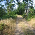 images-008-(Medium)-721582.jpg