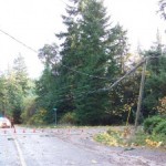 108_9729-Medium-300×225.jpg